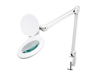 Loeplampen