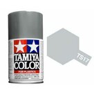 Tamiya-TS-17-Gloss-aluminum