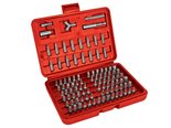 100-DELIGE-SET-MET-SCHROEVENDRAAIERBITS